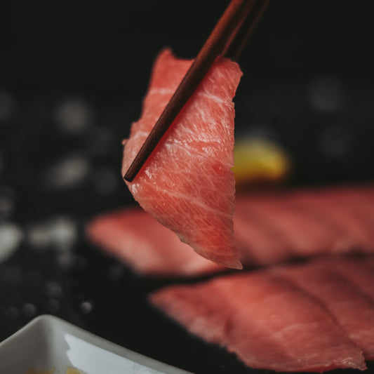 Bluefin Otoro