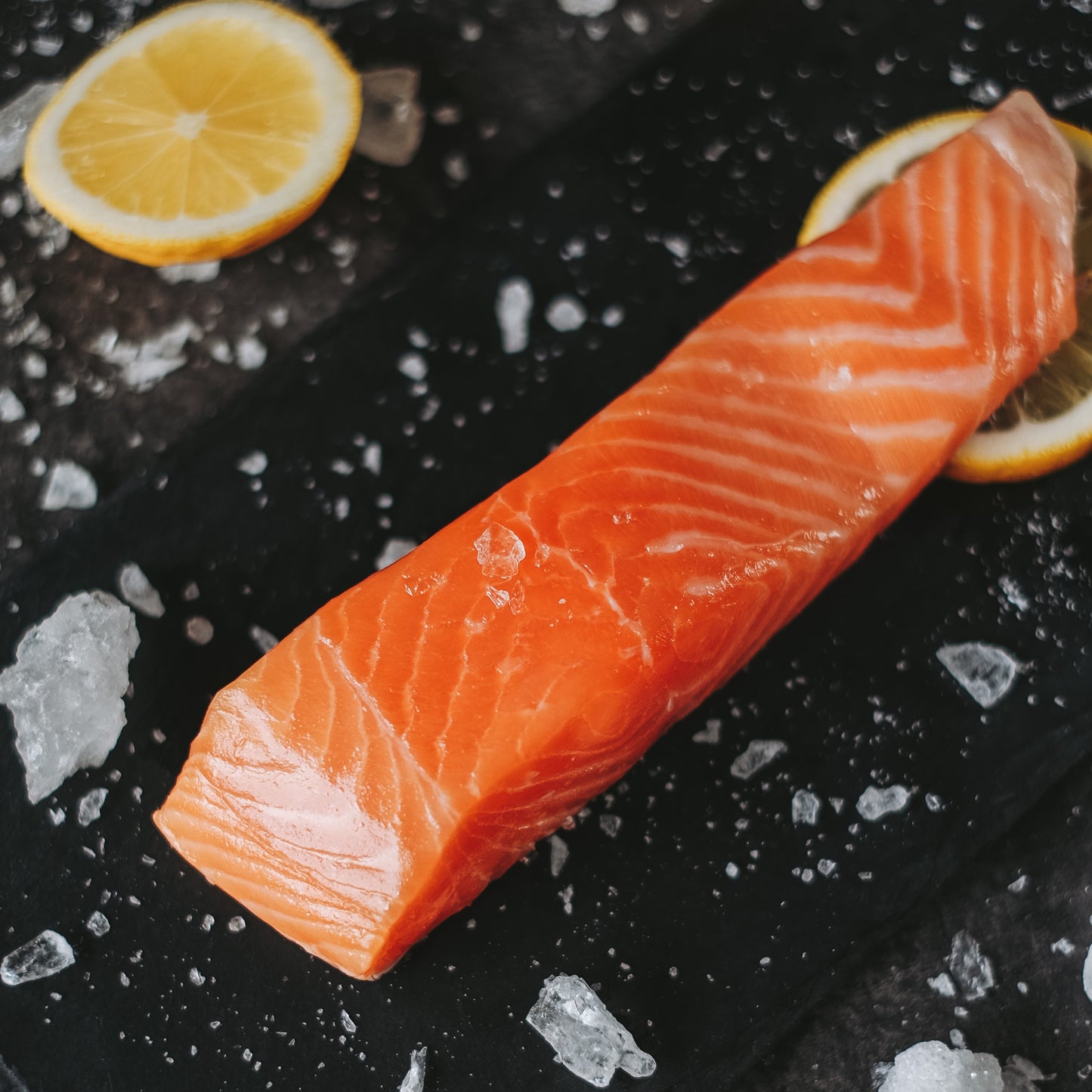 Salmon Fillet